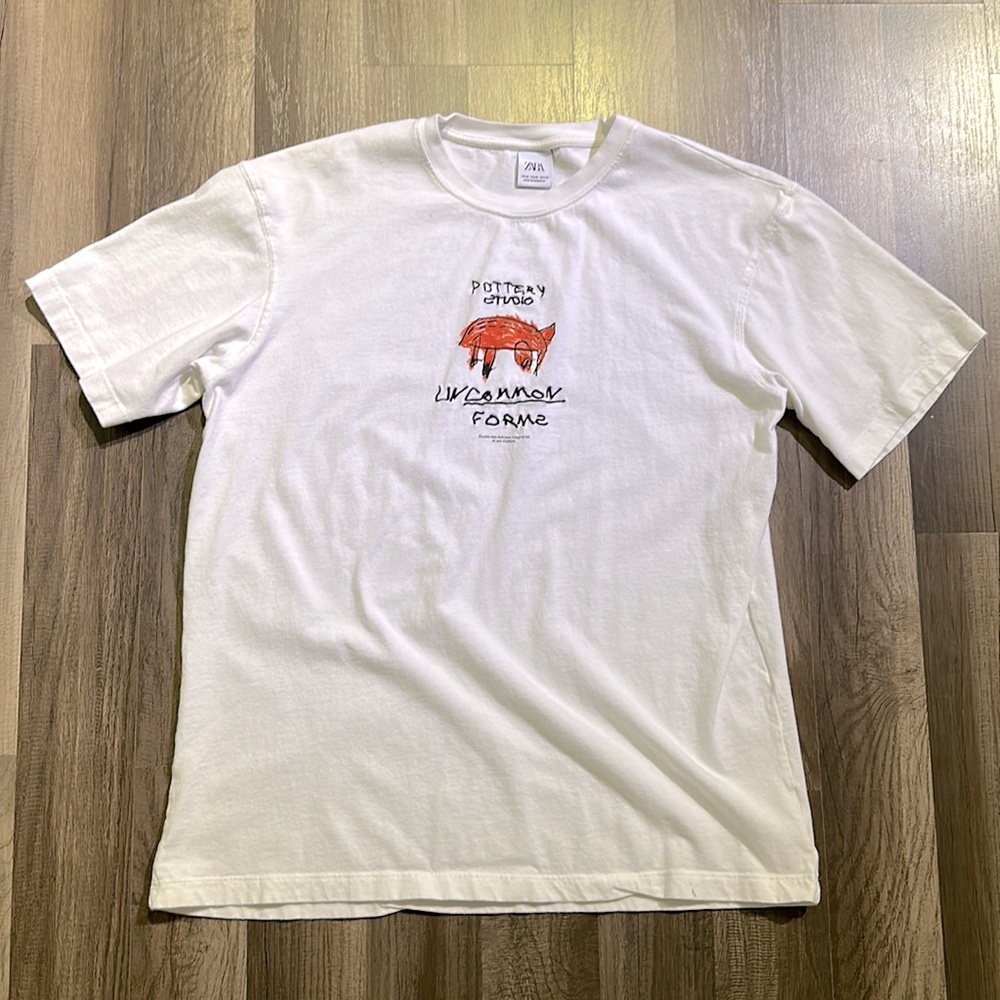 Men’s Zara T-Shirt (Size Medium)